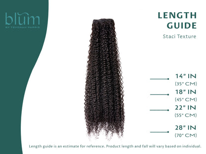 Staci Clip-Ins