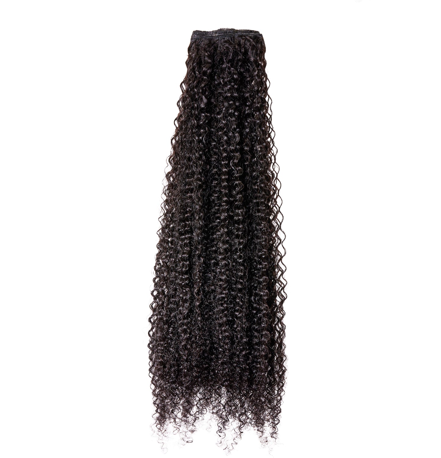 Staci Clip-Ins