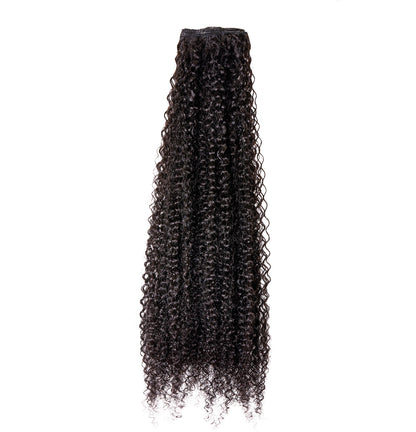 Staci Clip-Ins